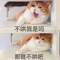 猫咪 喵星人 不哄我是吗 那就不哄吧 斗图 搞笑 可爱 萌萌哒