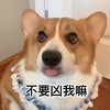 萌宠 汪星人 不要凶我嘛 卖萌 搞怪 逗