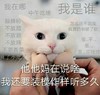 萌宠 喵星人 你在说啥 我是谁 凶巴巴 沙雕