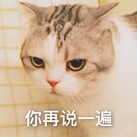 萌宠 喵星人 你再说一遍 你有本事重复一遍 淘气 搞怪