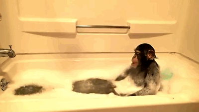 猴子 洗澡 可爱 萌