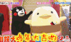 蹦跶 卖萌 安抚 小鸡
