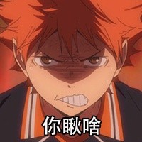 生气排球少年动漫你瞅啥gif动图_动态图_表情包下载_soogif