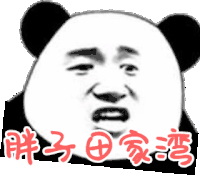 胖子家湾 搞笑 斗图 猥琐