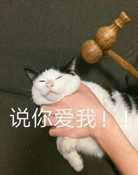 猫咪 说你爱我 掐脖 威胁