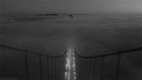 雾 mist nature 吊桥 山雾 风 云海 美景 自然 风光