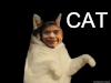 哈里·斯泰尔斯 1D 猫 一个方向 wtf 男孩