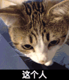 这个人 猫咪 眼神 萌萌哒