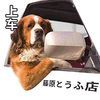 恶搞 上车 藤原豆腐店 狗