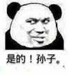 熊猫人 鄙视 恶搞 是的孙子