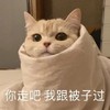 萌宠 猫星人 你走吧 我和被子过 搞怪 逗