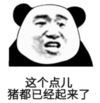 暴漫 文字表情包 这个点儿 猪都已经起来了 搞怪 沙雕 魔性