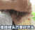 萌娃 朴建厚 摸摸猪头 万事好开头 可爱 搞笑 逗