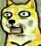 Doge 魔性 汪星人 惊讶