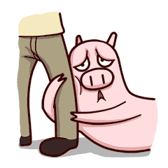 小猪 抱大腿 可爱 大鼻子