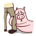 小猪 抱大腿 可爱 大鼻子
