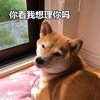 萌宠 汪星人 你看我理你吗 不想看 搞怪 逗