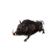 野猪 獠牙 攻击 黑色