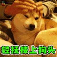 萌宠 狗狗 柴犬 搞怪 轻抚 楼上 狗头 soogif soogif出品