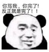 熊猫头 文字表情包 你骂我你完了反正就是完了 搞笑 逗 沙雕