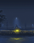 夜晚 树木 下雨 灯光