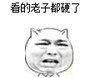 金馆长 逗比 看得老子都硬了 老司机