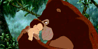 人猿泰山 Tarzan 小泰山 猩猩
