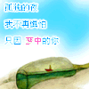 图片  动图 文字 闪动