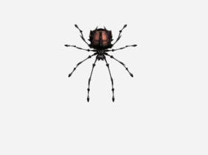 特效 蜘蛛 八条腿 黑色