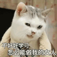 猫咪 呆萌 不好好学习 怎么能做 我的女人