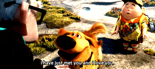 萌宠 狗狗 张嘴 可爱