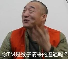 你TM是猴子請(qǐng)來(lái)的逗比嗎 搞笑 大笑 逗比