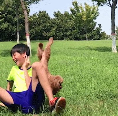 汪星人 狗狗 可愛 萌寵