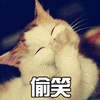 萌宠 猫 喵星人 偷笑 开心 soogif soogif出品