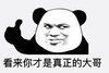 熊猫头表情包 暴漫 看来你才是真正的大哥 搞笑 逗 沙雕