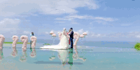 新婚祝福 婚礼进行中 海上 浪漫