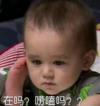 本特利 萌娃 在吗唠嗑吗 呆萌 搞怪 逗