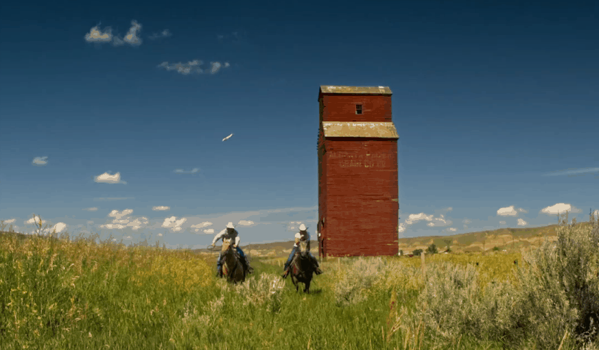 加拿大 红房子 纪录片 草原 蓝天 风景 马