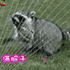 soogif soogif出品 骚操作