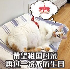 等放假 国庆节 可爱 文字表情包 喵星人