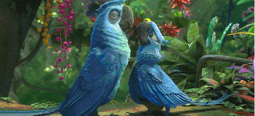 动物 可爱 拥抱 搞笑 电影 萌 蠢 里约大冒险2 鹦鹉