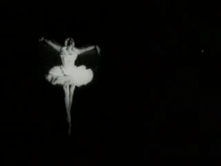 芭蕾舞,  芭蕾舞女演员  安娜奶油蛋白甜饼, 垂死的天鹅
