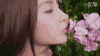 angelababy 花 吻 美女