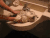 宠物 杀伤力 搞笑 gif