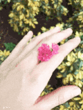 花儿 红色 绿叶 手指