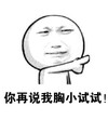 你再说我胸小试试 恶搞 逗比 欢乐