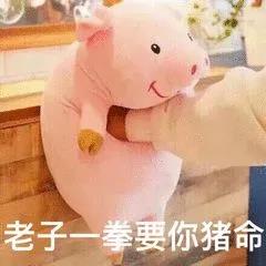 猪 卡通 老子一拳 猪命 生气
