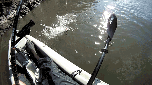 皮划艇 canoe and kayak 鲟鱼 钓鱼