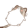 卡通 猫咪 红包 笑眯眯
