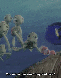 海龟 海底总动员 小丑鱼